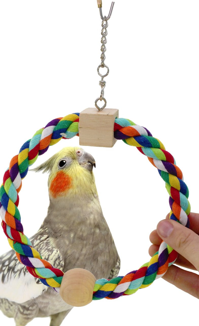 1676 Rainbow Ring Bird Toy