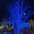 thumbnail image 5 of 70 Blue LED Christmas Lights, Long Life, Outdoor String Lights, Connectable, for Tree, Party, Holiday, Christmas, Decoration, 24' Length, 4" Spacing, 5 of 7