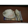 thumbnail image 3 of ABALONE SHELL WHITE SAGE SMUDGE KIT SPIRITUAL CLEANSING, 3 of 4