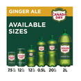 thumbnail image 5 of Canada Dry Ginger Ale, 100% Natural Flavors, 12-Pack, 1 Liter Bottles, 5 of 5