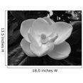 thumbnail image 2 of Wallmonkeys Magnolia Blossom-1 Peel and Stick Wall Decals Mural WM293058 (18 in W x 14 in H), 2 of 4