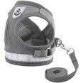 thumbnail image 1 of (M, gris) Conjunto de arnés y correa para perros liviano y antitirones, arnés tipo chaleco con clip trasero para perros pequeños y medianos, el mejor collar para perros para usar, 1 of 5