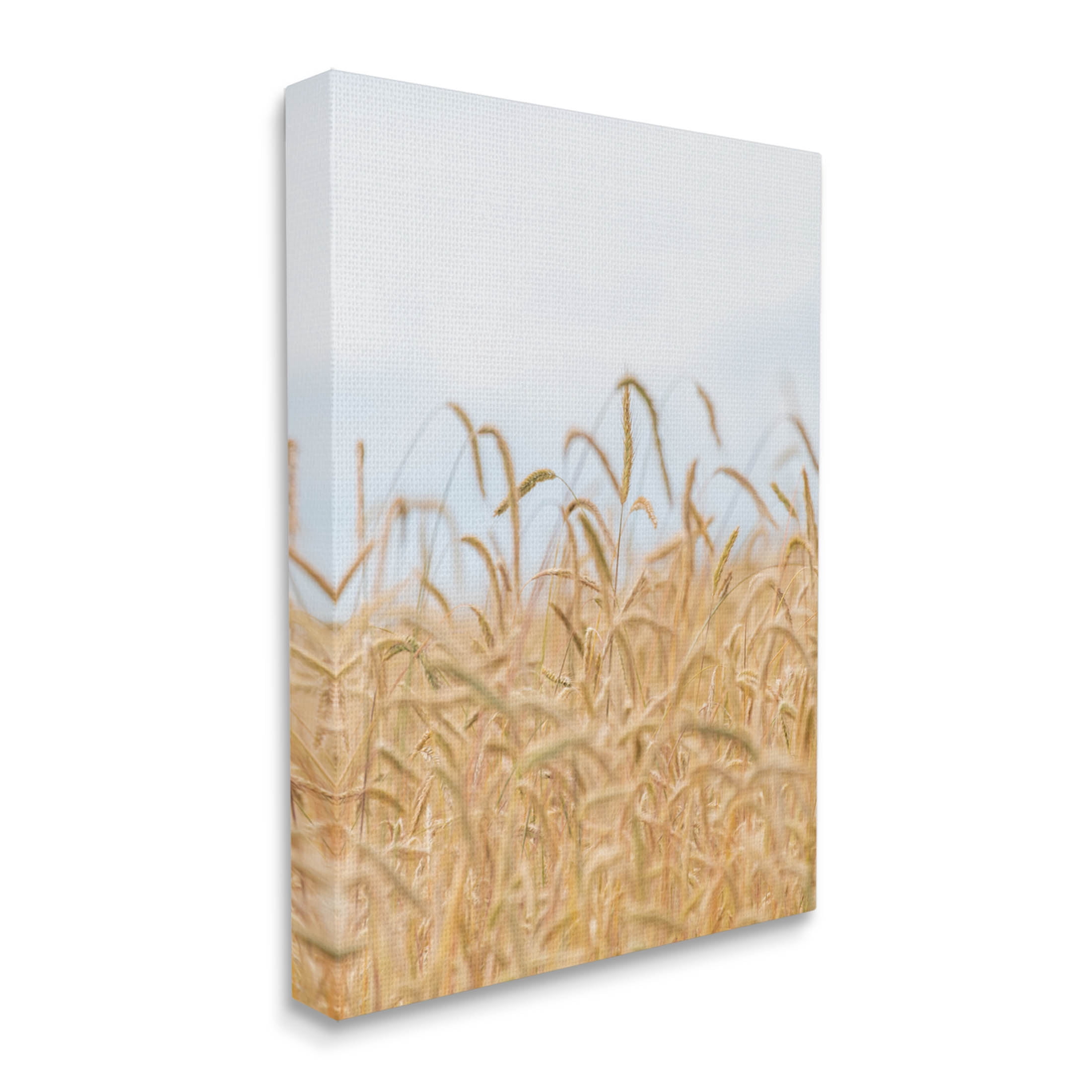 Rural Wheat Field Crops Landscape Photograph Gallery Wrapped Canvas Print Wall Art