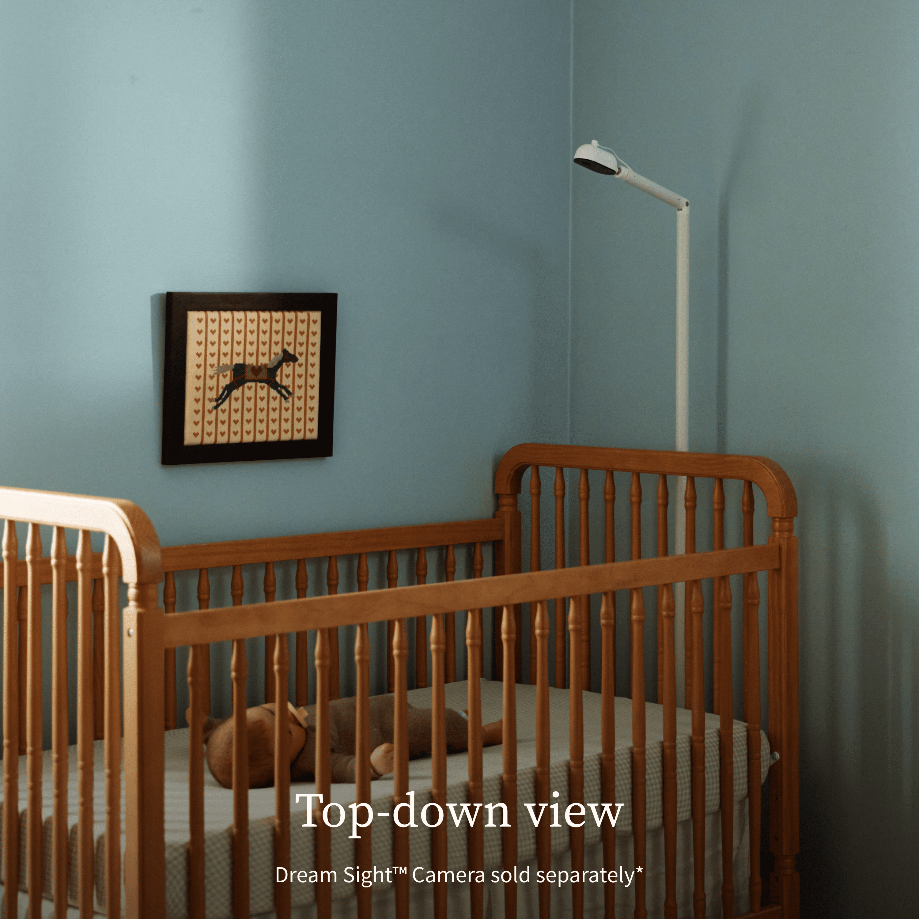 Owlet Dream Sight™ Portable Floor Stand Accessory