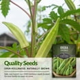 thumbnail image 2 of 3 Packs Emerald Okra Seeds - Non-GMO Heirloom Full Sun Annual Vegetable, 2 of 7