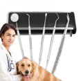 thumbnail image 1 of Dental Probes For Cleaning The Mouth, Beauty Tools For Pets, 1 of 1