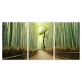 thumbnail image 3 of Chic Home Pine Road 3 Piece Set Wrapped Canvas Wall Art Modern, 3 of 4