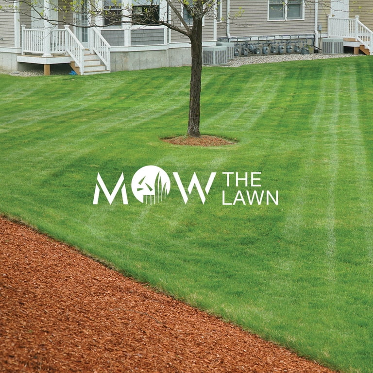 CHAIN SAW MAN トランプ　【新品未開封】 BOX 5点 CHAIN SAW MAN トランプ 【新品未開封】 BOX 5点 Chainsaw Man