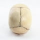 thumbnail image 5 of 1:2 Disassembled Skull Anatomical Model Anatomy Skeleton Skull Model, 5 of 5