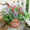 Green Rose Red, variant on AcerichFad Artificial Plants for Outdoor, 24 Bundles Faux Greenery Fake Plastic Flowers with Stems for Outdoor Indoor Summer Patio Garden Porch Yard Home Decor