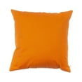 thumbnail image 3 of Spider Pillow 18"x18", 3 of 3