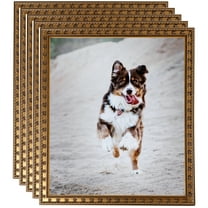 ArtToFrames 18" x 36" Gold with Star Picture Frame, 18x36 inch Gold Wood Poster Frame (WOM-4755), 5 Pack