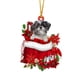 thumbnail image 1 of pstuiky Preciosa etiqueta navideña con flores y perro, adornos navideños, colgante para árbol de Navidad, decoración de árbol de Navidad estilo cabaña, árbol de Navidad verde, 1 of 4
