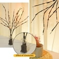 LED Wrapped Lighted Willow Branch Lights Battery Operated with Remote