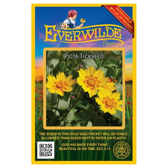 Everwilde Farms - 500 Picta Tickseed Native Wildflower Seeds - Gold Vault Jumbo Bulk Seed Packet