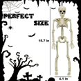thumbnail image 3 of 5 Esqueletos de Halloween de 16 con Articulaciones Móviles., 3 of 3