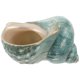 thumbnail image 5 of Manualidades de playa con conchas, decoración náutica, conchas, pecera, acuario, paisaje, decoración, manualidades con conchas, 5 of 7