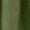 Green, variant on Levmjia Women's Solid Color High Waisted Wide Leg Pants with Pockets Casual Loose Fit Long Trousers Cotton Linen Blend for Summer Vacation Beach