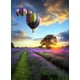 thumbnail image 1 of Rc. Gold Edition 500 Pzs, Globos Aerostáticos A La Puesta Del Sol WUUNDENTOY Wuundentoy 2107, 1 of 5