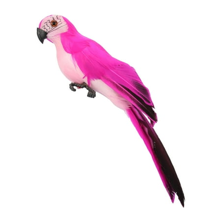 

JANGSLNG Simulation Parrot 3D Embedded Eyes Real Feather Creative Artificial Bird Figurine Garden Lawn Ornament for Shopwindow