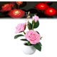 thumbnail image 1 of Lámpara LED de noche xinyu con forma de rosa luces en macetas recargables por USB, 1 of 7