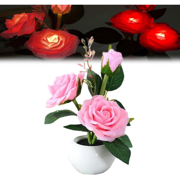 Lámpara LED de noche xinyu con forma de rosa luces en macetas recargables por USB