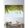thumbnail image 2 of Breathe Palm Tree Design Poster Wall Art, Modern Wall Decor For Living Room Bedroom, 16x24 UNFRAMED, 2 of 3