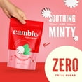 thumbnail image 3 of Cambie Sugar Free Mints, 1 MDA05&nbsp;lb of Sugar Free Hard Candy, Individually Wrapped Peppermints with a Refreshing & Sweet Mint Flavor, Packaged Fresh in a Resealable Pouch, 3 of 3