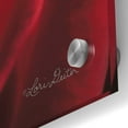 thumbnail image 3 of Epic Art 'The Red Rose I' by Lori Deiter, Acrylic Glass Wall Art, 36"x36", 3 of 8