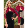 thumbnail image 2 of DARING DIVA Women's Stand Collar Sheer Floral Lace Bolero Shrug M Dark Red, 2 of 6