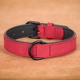 thumbnail image 4 of Beirui Leather Soft Padded Dog Collar Adjustable for Small Medium Large Dogs Bulldog, 4 of 8
