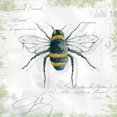 thumbnail image 2 of Garden Bee Poster Print by Carol Robinson, 2 of 2
