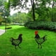 thumbnail image 4 of Decoración creativa de jardín, tarjeta de inserción de pollo negro acrílico, decoración de césped de jardín, 2 uds. Gallo + gallina Sailing  Electrónica, 4 of 5