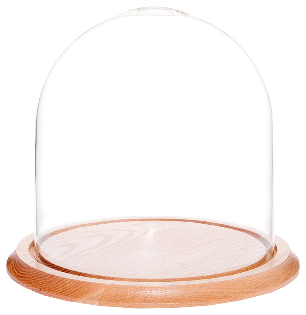 Walnut Base Plymor 9.75 x 10 Glass Display Dome Cloche