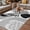Gray, variant on Boho Geometric Outdoor Rug for Patio/Deck/Porch, Non-Slip Large Area Rug 4 x 6 Ft, Farmhouse Green Abstract Stripes Leaves Indoor Outdoor Rugs Washable Area Rugs, Reversible Camping Rug Carpet Runner