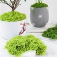 thumbnail image 4 of CIYISON 150g Fake Green Moss for Potted Plant Table Centerpieces, 4 of 18