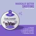 thumbnail image 6 of Citrus Magic For Closets Odor Absorbing Solid Air Freshener, Fresh Lavender, 8 oz, 6 of 10