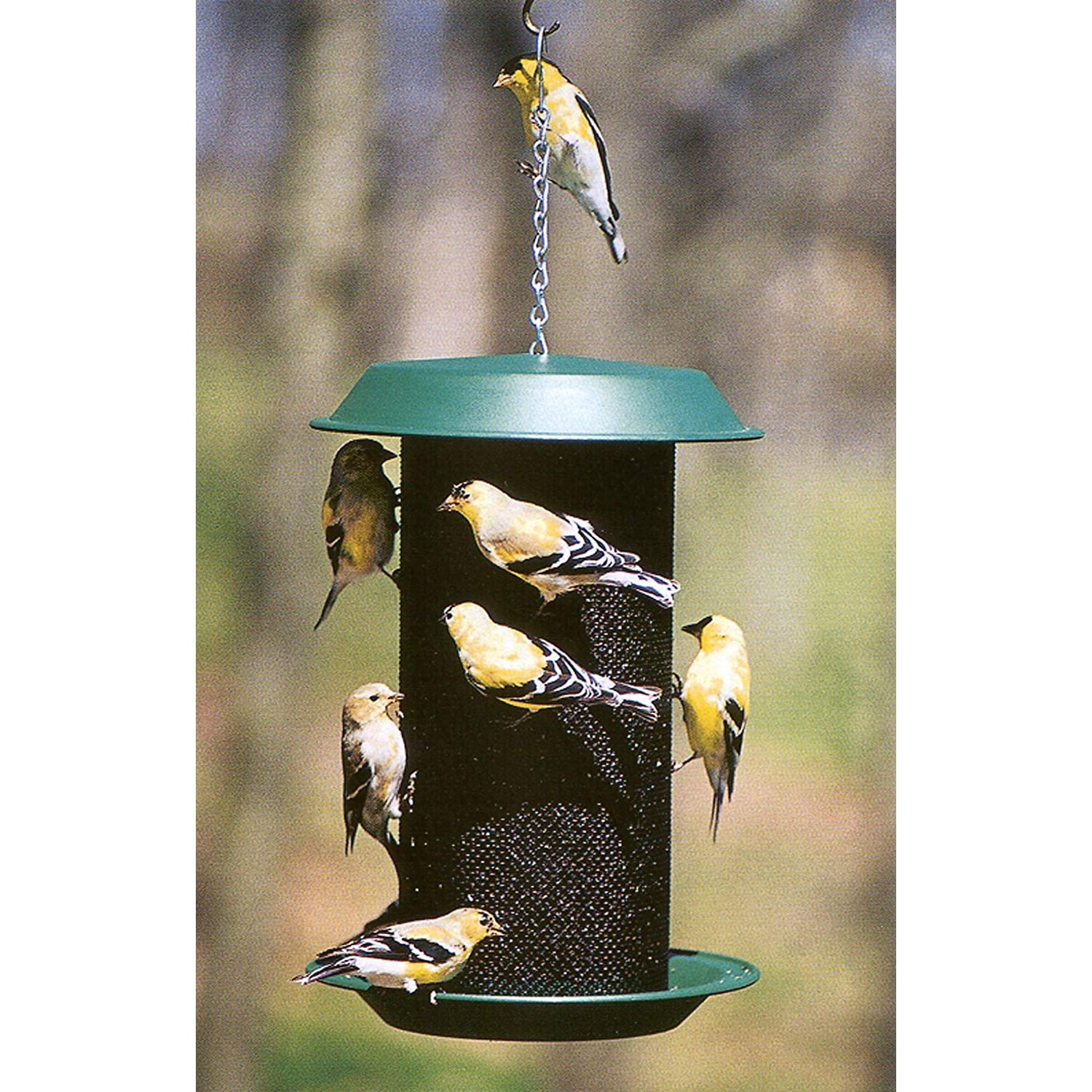 Wild Bills Electronic Squirrel Proof Bird Feeder, 12 Ports