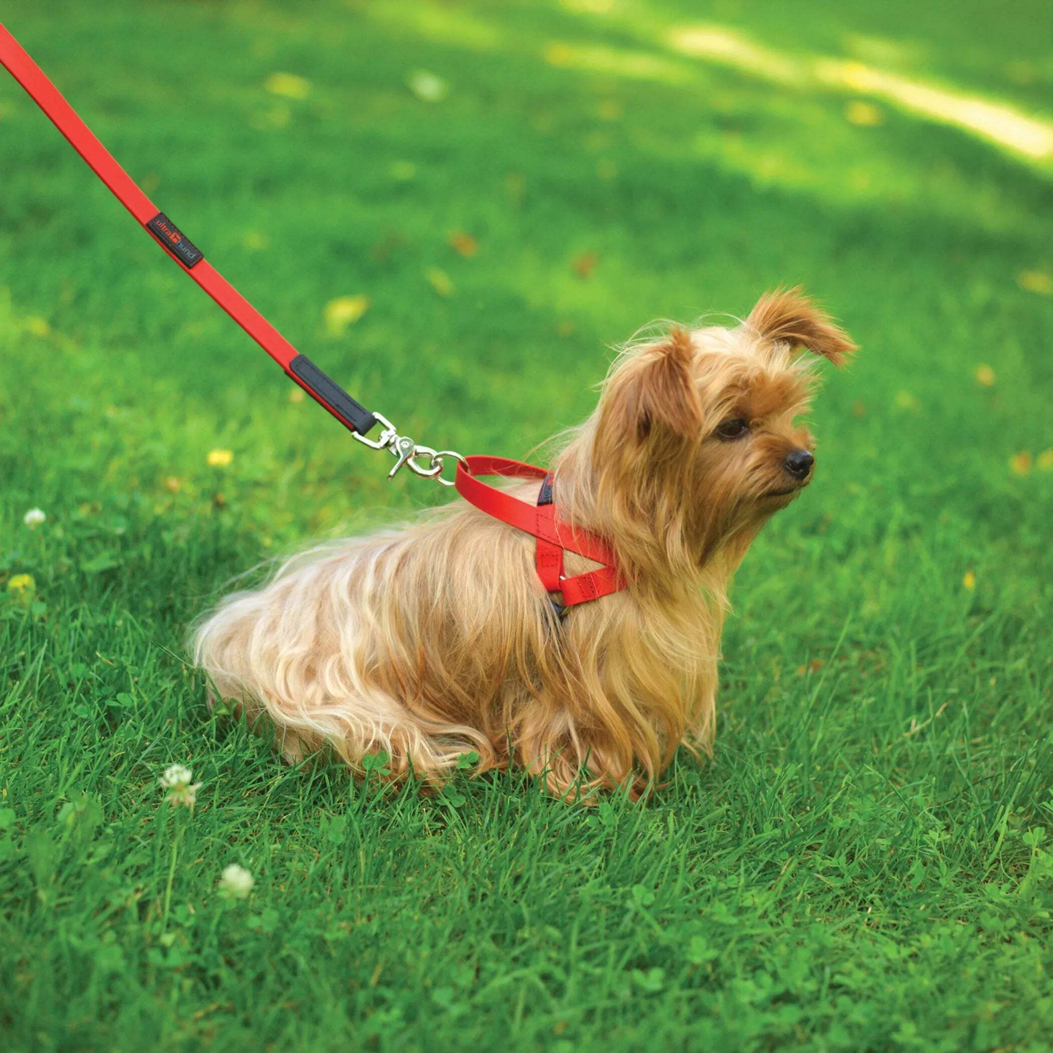 Ultrahund No-Pull Harness Extra Small - Orange