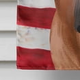thumbnail image 4 of Carolines Treasures CK6444CHF Boerboel Dog American Canvas House Size Outdoor-Flags, Multicolor, 4 of 4