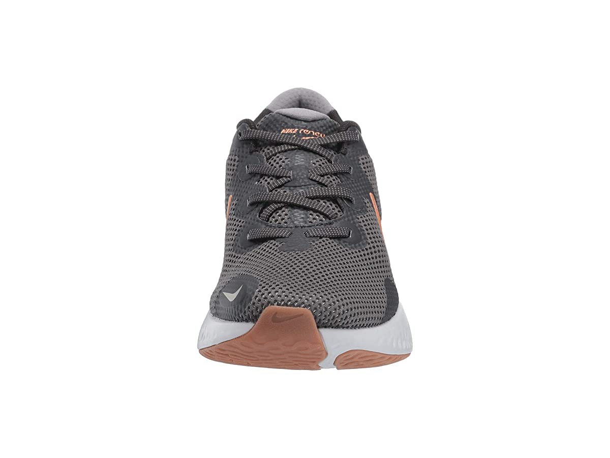 Nike Renew Run Iron Grey/Metallic Copper/Dark Smoke Grey - image 3 of 6