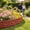 Red(25.8x22cm), variant on Interlocking Stone Look Garden Edging Flexible Plastic Landscape Border DIY Decorative Lawn Flower Bed Edge Barrier Gray(25.8x22cm)