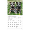 thumbnail image 3 of Chiots | 2027 7x14" (Hanging) Mini Wall Calendar | French Language, 3 of 5
