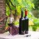 thumbnail image 2 of Tapones para Botellas de Vino - Tapones de Champán（9*2cm） - Juego de 3 Botellas de Acero Inoxidable - Compactadores de Corchos Accesorios de Cocina - Accesorios de Bar - Sellador al Vacío, 2 of 5