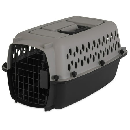 Vibrant Life Pet Kennel 19" X-Small Plastic Dog Crate Portable Carrier for Pets up to 10 lbs