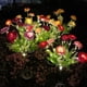 thumbnail image 2 of Injueey Juego de 2 adornos de césped para jardín exterior con luces solares de cadena, flores solares impermeables para exteriores. Decoración del hogar A, 2 of 6