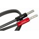 thumbnail image 4 of Conectores de altavoz AudioQuest SureGrip 100 Gold, paquete de 12, 4 of 5