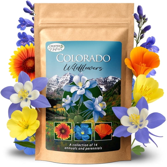 Colorado Wildflower Seed Mix, 14 Flower Varieties, 53,000  Seeds - Created By Nature