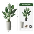 thumbnail image 3 of Artificial Tree in Modern Swirl Pattern Planter, Fake Bird of Paradise Silk Tree for Indoor and Outdoor Home Decoration - 67" Overall Tall (Plant Pot Plus Tree), 3 of 5