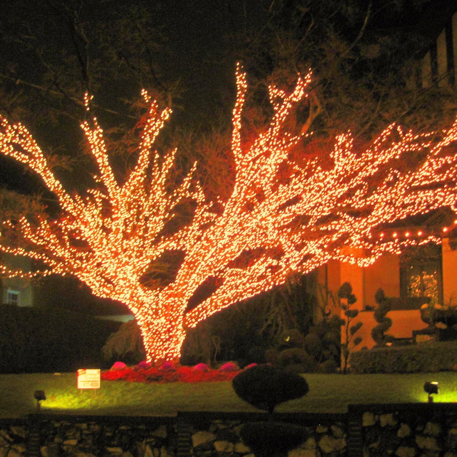JMEXSUSS 600 LED Thanksgiving Lights Outdoor, 8 Modes Orange Christmas Lights Plug in, Orange String Lights Clear Wire for Fireplace, House, Yard, Halloween Christmas Thanksgiving Decorations